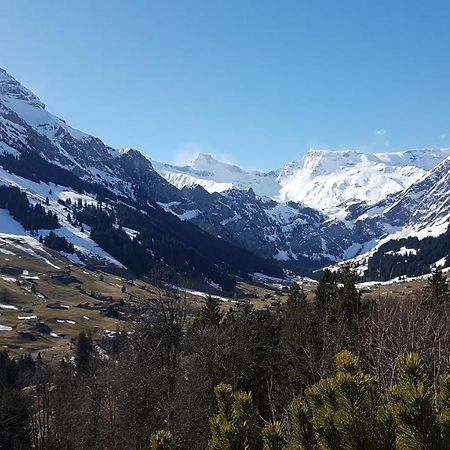 Hotel Crystal Adelboden Luaran gambar