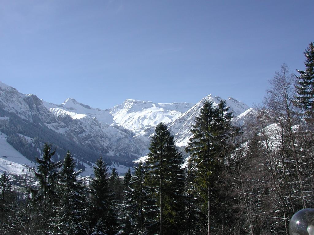 Hotel Crystal Adelboden Luaran gambar