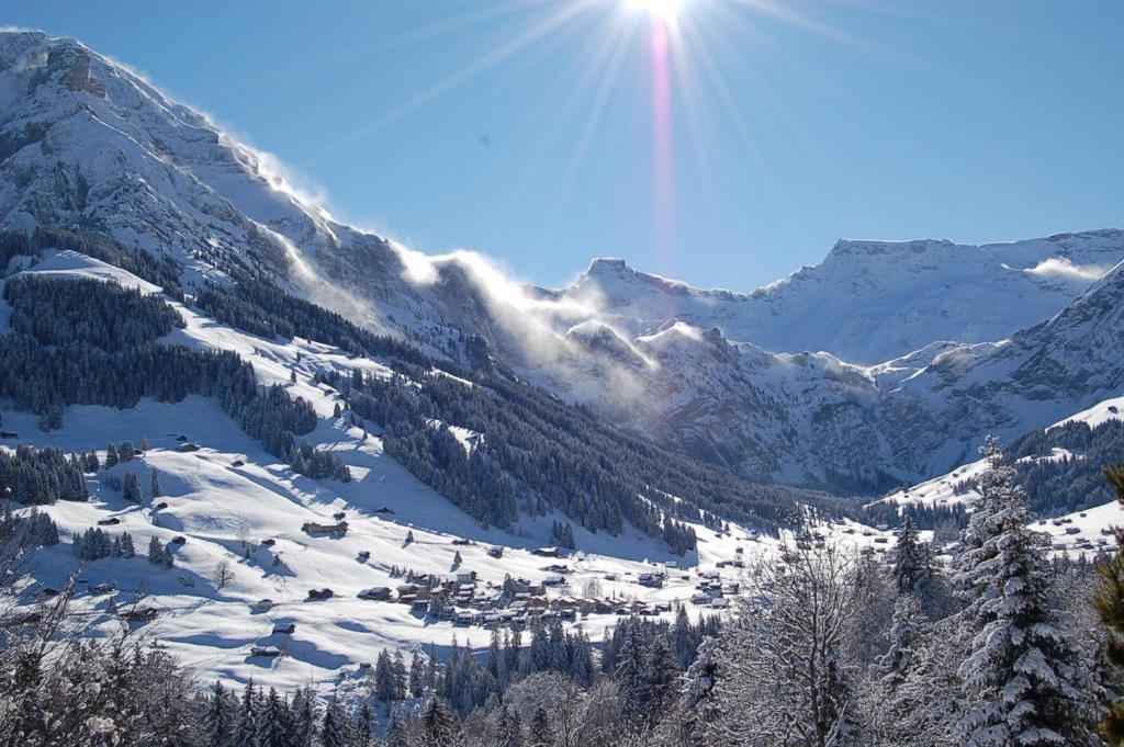 Hotel Crystal Adelboden Bilik gambar