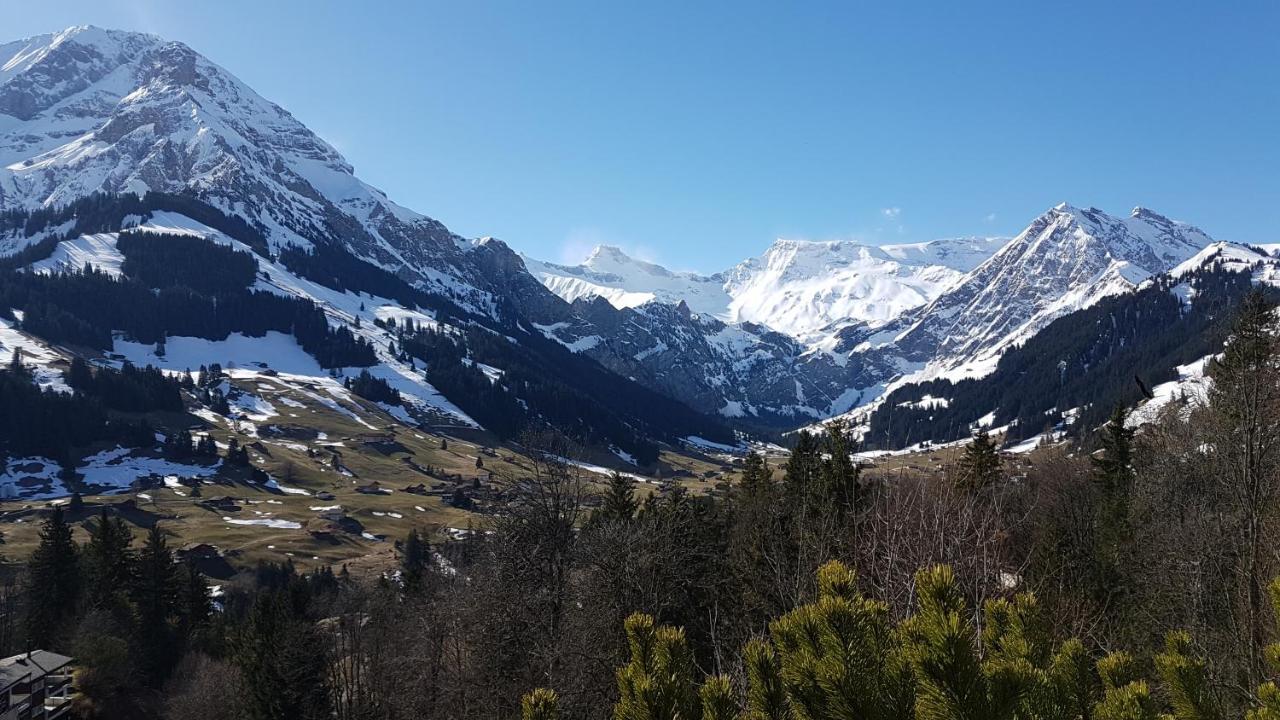 Hotel Crystal Adelboden Luaran gambar